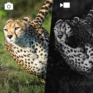 jumelles de vision nocturne